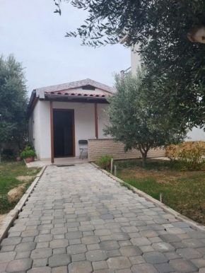 Villa zija Hasani